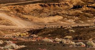 🚨 伊蒂哈德球场传来球队首发名单：